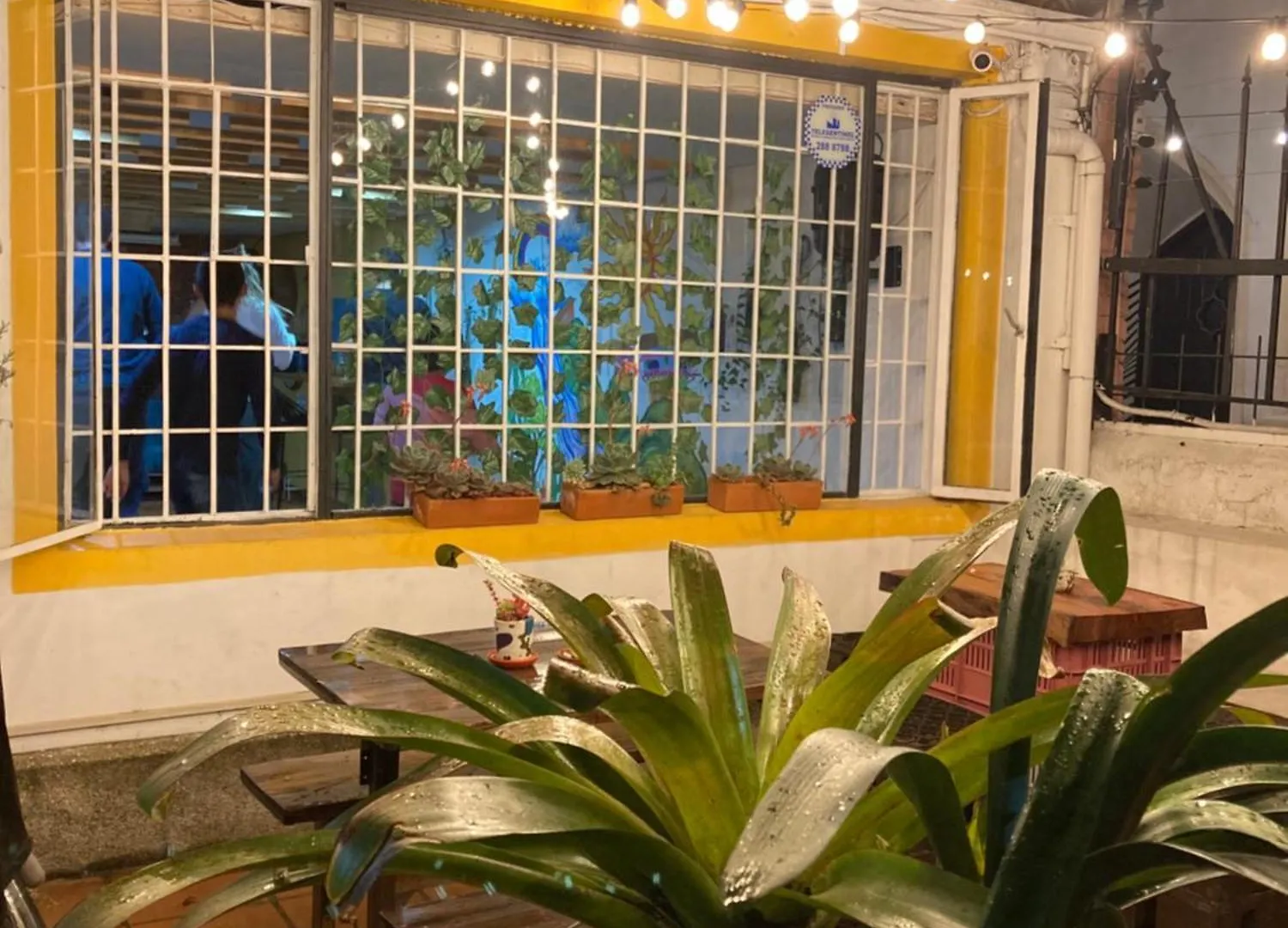 Hostal Macondo Bogotá Colombie